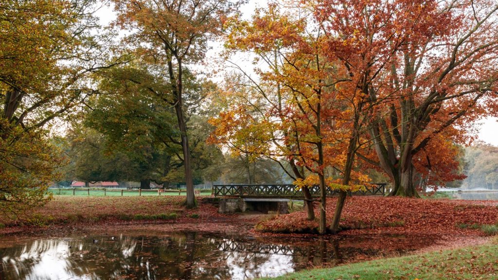 Canan, gökyüzüne bakınca kuşların göç ettiğini gördü. Ayrıca evlerinin önüne dökülen yaprakları da temizledi. Buna göre Canan hangi mevsimi yaşamaktadır?