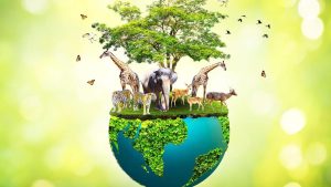 Çevrenizdeki hayvanları ve bitkileri neden korumalısınız?
