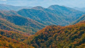 Doğa ve İnsan Şiiri