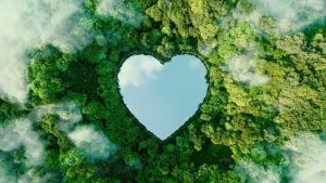 Doğayı sev, yeşili koru. sözüyle ne anlatılmak isteniyor?