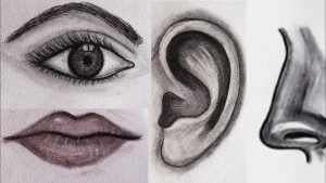 Göz, Kulak, Burun Şiiri