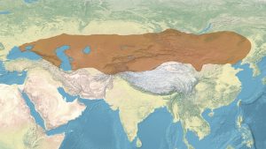 İlk Türk devleti hangisidir?