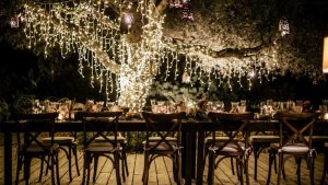 Masallar – Peri’nin Zeytin Ağacı