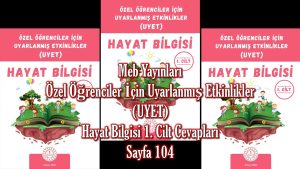 Özel Öğrenciler İçin Uyarlanmış Etkinlikler (UYET) Hayat Bilgisi 1. Cilt Cevapları Meb Yayınları Sayfa 104