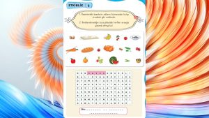 Özel Öğrenciler İçin Uyarlanmış Etkinlikler (UYET) Hayat Bilgisi 1. Cilt Cevapları Meb Yayınları Sayfa 91