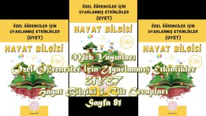 Özel Öğrenciler İçin Uyarlanmış Etkinlikler (UYET) Hayat Bilgisi 3. Cilt Cevapları Meb Yayınları Sayfa 81