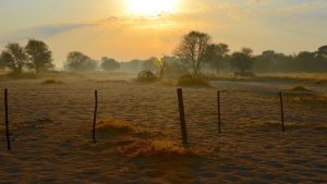 Sabahlar Hayrolsun Şiiri