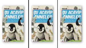 Şu Acayip Anneler Özet