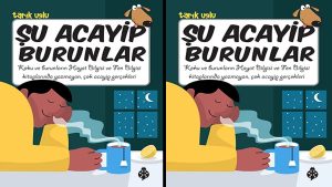 Şu Acayip Burunlar Özet