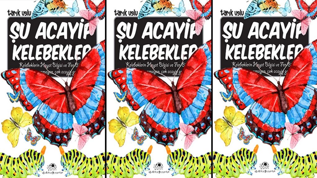 Şu Acayip Kelebekler Özet