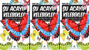 Şu Acayip Kelebekler Özet