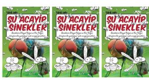 Şu Acayip Sinekler Özet