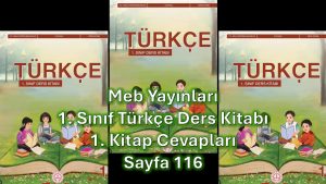 1. Sınıf Türkçe Ders Kitabı 1. Kitap Cevapları Meb Yayınları Sayfa 116