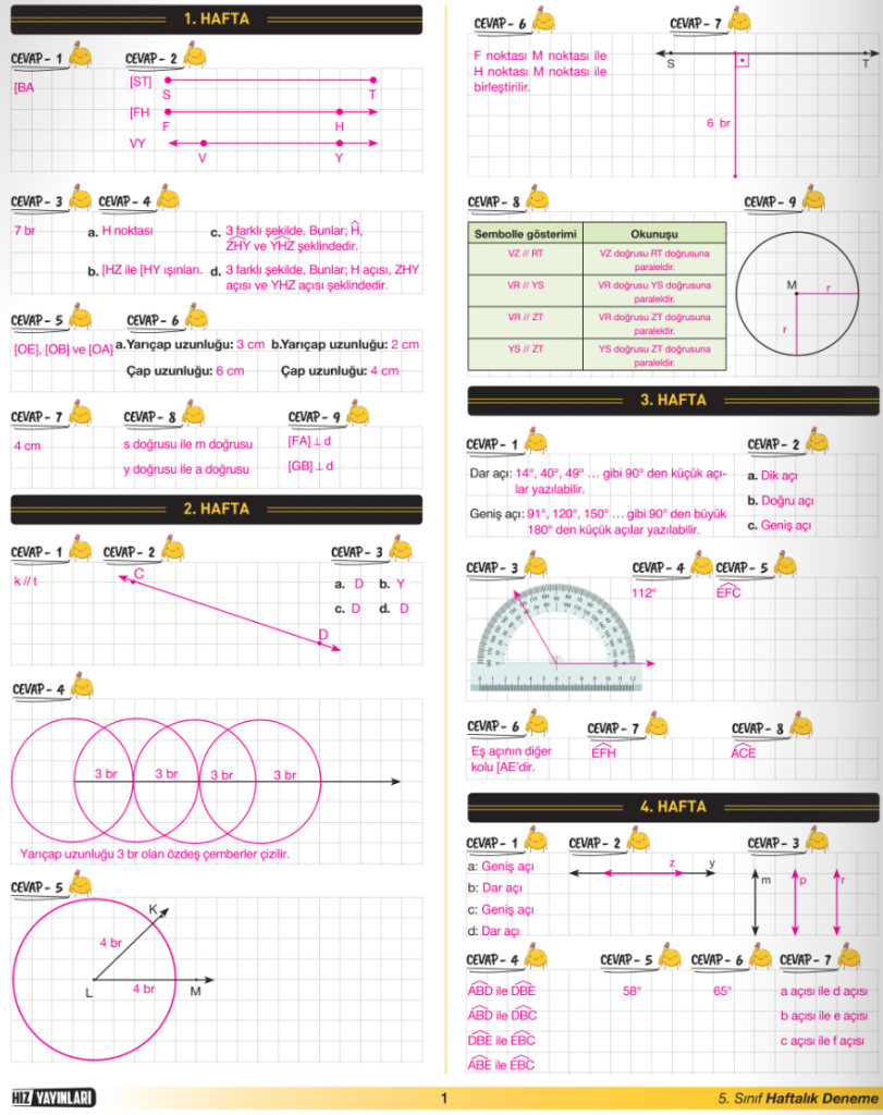 5. Sınıf Matematik 30 Haftalık Deneme Cevap Anahtarı Hız Yayınları