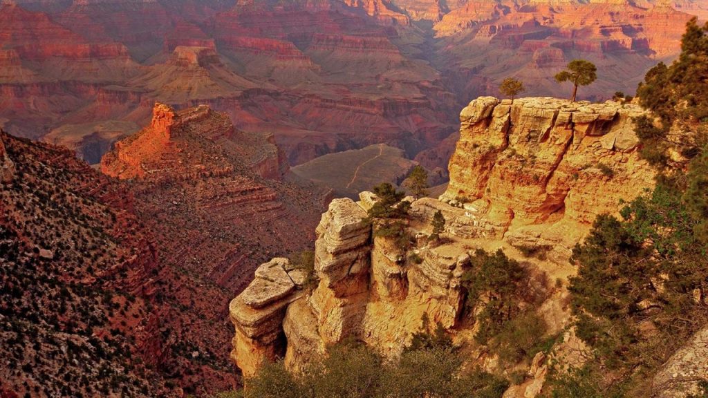 Aşağıdakilerden hangisi canlıların yeryüzüne dağılışını etkileyen fiziki faktörlerden biridir?