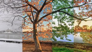 Aşağıdakilerden hangisi doğrudur?