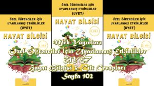 Özel Öğrenciler İçin Uyarlanmış Etkinlikler (UYET) Hayat Bilgisi 3. Cilt Cevapları Meb Yayınları Sayfa 102