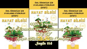 Özel Öğrenciler İçin Uyarlanmış Etkinlikler (UYET) Hayat Bilgisi 3. Cilt Cevapları Meb Yayınları Sayfa 114