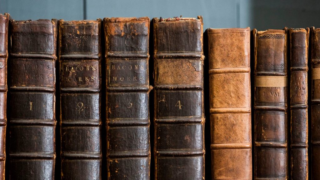 Tarihin konusu insan ve onun yaptıklarıdır. Buna göre etkinliklerden hangileri tarih biliminin konusu olabilir?