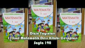 1. Sınıf Matematik Ders Kitabı Cevapları Dizin Yayınları Sayfa 190