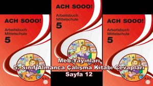 5. Sınıf Almanca Çalışma Kitabı Cevapları Meb Yayınları Sayfa 12