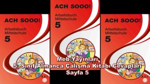 5. Sınıf Almanca Çalışma Kitabı Cevapları Meb Yayınları Sayfa 5