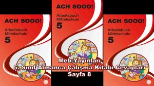 5. Sınıf Almanca Çalışma Kitabı Cevapları Meb Yayınları Sayfa 8