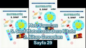 5. Sınıf Matematik Ders Kitabı 2. Kitap Cevapları Meb Yayınları Sayfa 29