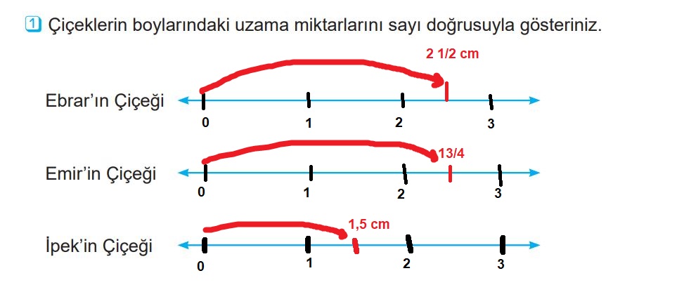 5. Sınıf Matematik Ders Kitabı 2. Kitap Cevapları Meb Yayınları Sayfa 30