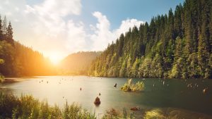 Aşağıda ekosferle ilgili verilen bilgilerden hangisi yanlıştır?