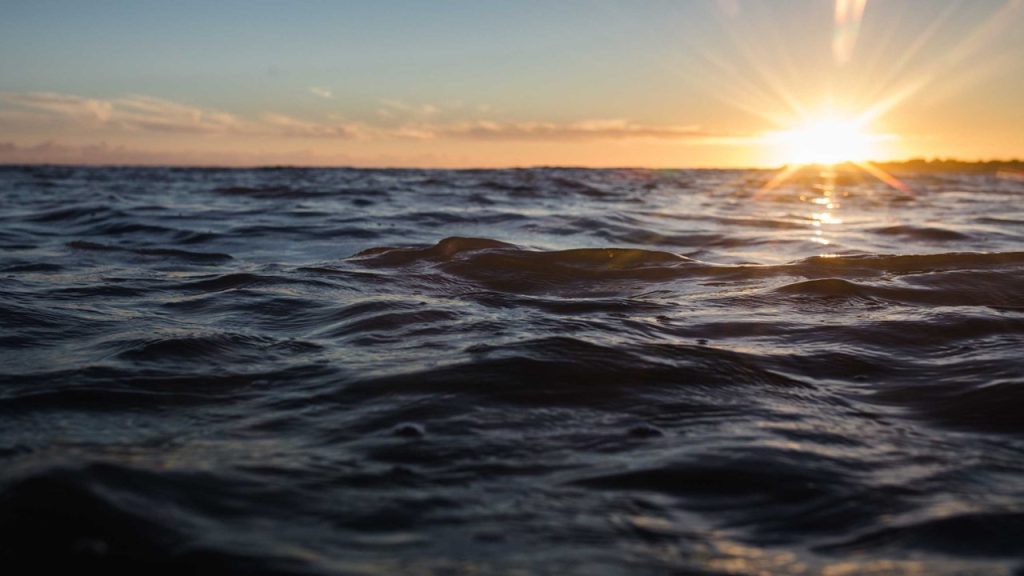 Aşağıdaki ekosistemlerden hangisi daha büyüktür?