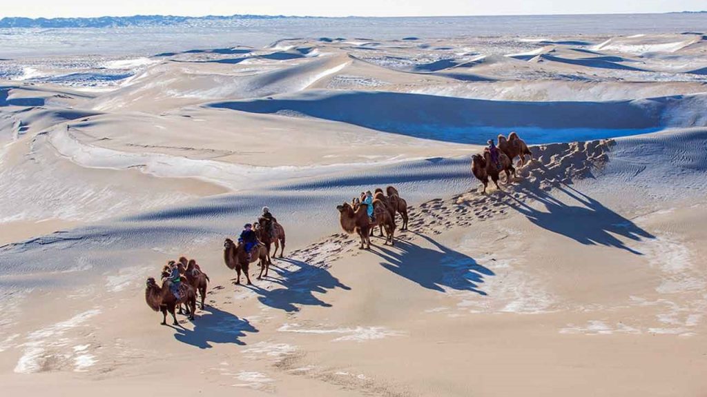 Aşağıdakilerden hangisi soğuk çöller ve buradaki canlı yaşamıyla ilgili doğru değildir?