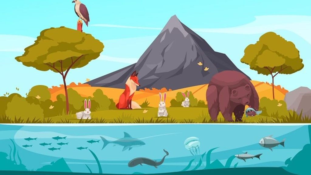 Ekosistemi oluşturan canlı öğeler