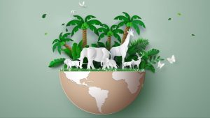 Hayvanları Koruma Günü Şiiri