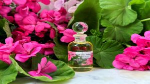 Sardunya Yağının Faydaları