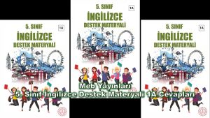 5. Sınıf İngilizce Destek Materyali 1A Cevapları Meb Yayınları