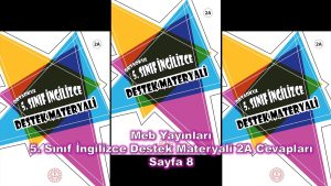 5. Sınıf İngilizce Destek Materyali 2A Cevapları Meb Yayınları Sayfa 8