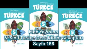5. Sınıf Türkçe Ders Kitabı Cevapları Meb Yayınları Sayfa 158