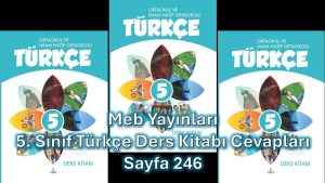 5. Sınıf Türkçe Ders Kitabı Cevapları Meb Yayınları Sayfa 246