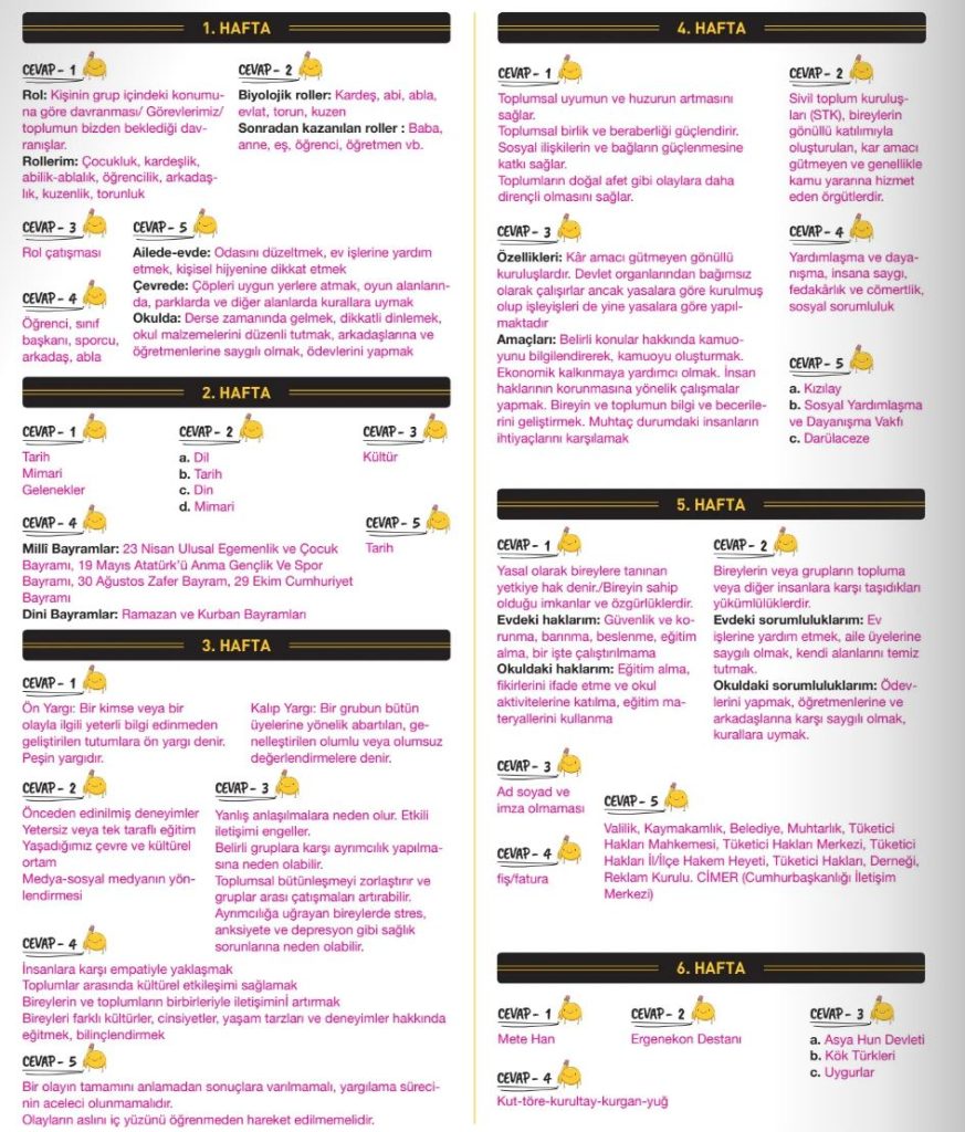 6. Sınıf Sosyal Bilgiler 30 Haftalık Deneme Cevap Anahtarı Hız Yayınları