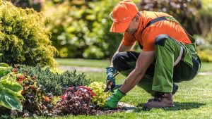 Bahçıvanın kullandığı bir alet