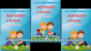 2. Sınıf Almanca Çalışma Kitabı Cevapları Meb Yayınları