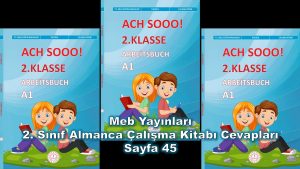 2. Sınıf Almanca Çalışma Kitabı Cevapları Meb Yayınları Sayfa 45