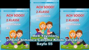 2. Sınıf Almanca Çalışma Kitabı Cevapları Meb Yayınları Sayfa 55