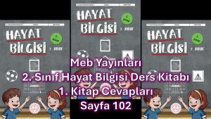 2. Sınıf Hayat Bilgisi Ders Kitabı 1. Kitap Cevapları Meb Yayınları Sayfa 102