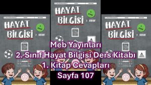 2. Sınıf Hayat Bilgisi Ders Kitabı 1. Kitap Cevapları Meb Yayınları Sayfa 107