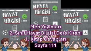 2. Sınıf Hayat Bilgisi Ders Kitabı 1. Kitap Cevapları Meb Yayınları Sayfa 111