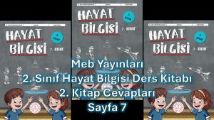 2. Sınıf Hayat Bilgisi Ders Kitabı 2. Kitap Cevapları Meb Yayınları Sayfa 7