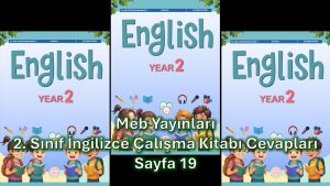 2. Sınıf İngilizce Çalışma Kitabı Cevapları Meb Yayınları Sayfa 19