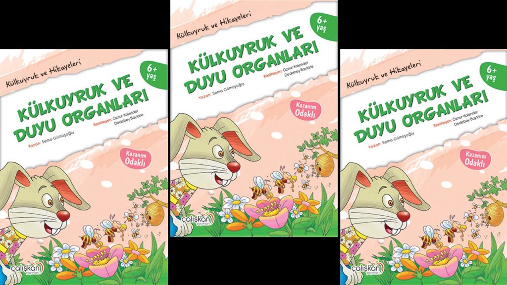 Külkuyruk ve Duyu Organları Özet